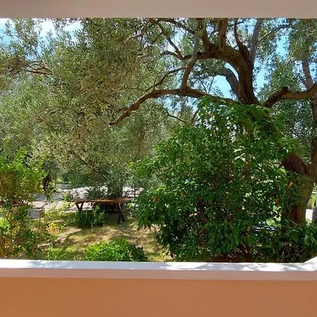 Апартаменты Marijana *