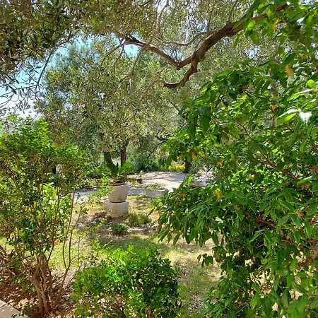 Marijana Apartament *