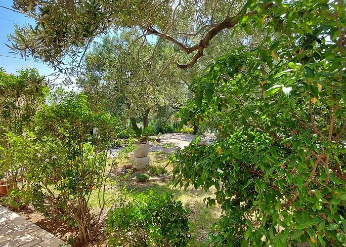 Marijana Apartament *